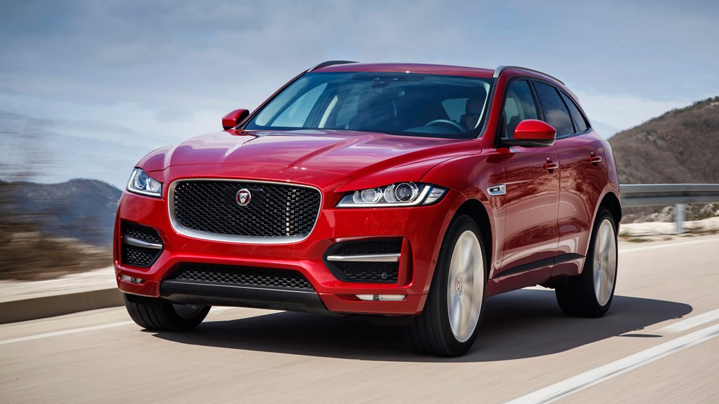 redfpace-001.jpg