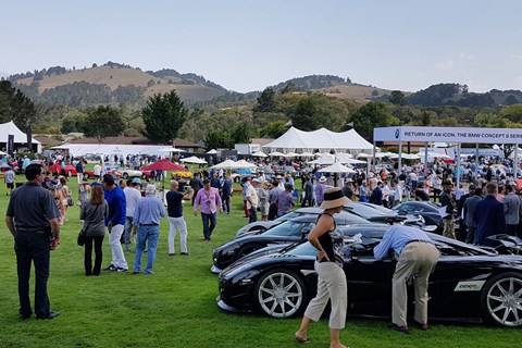 The Quail show pic 2