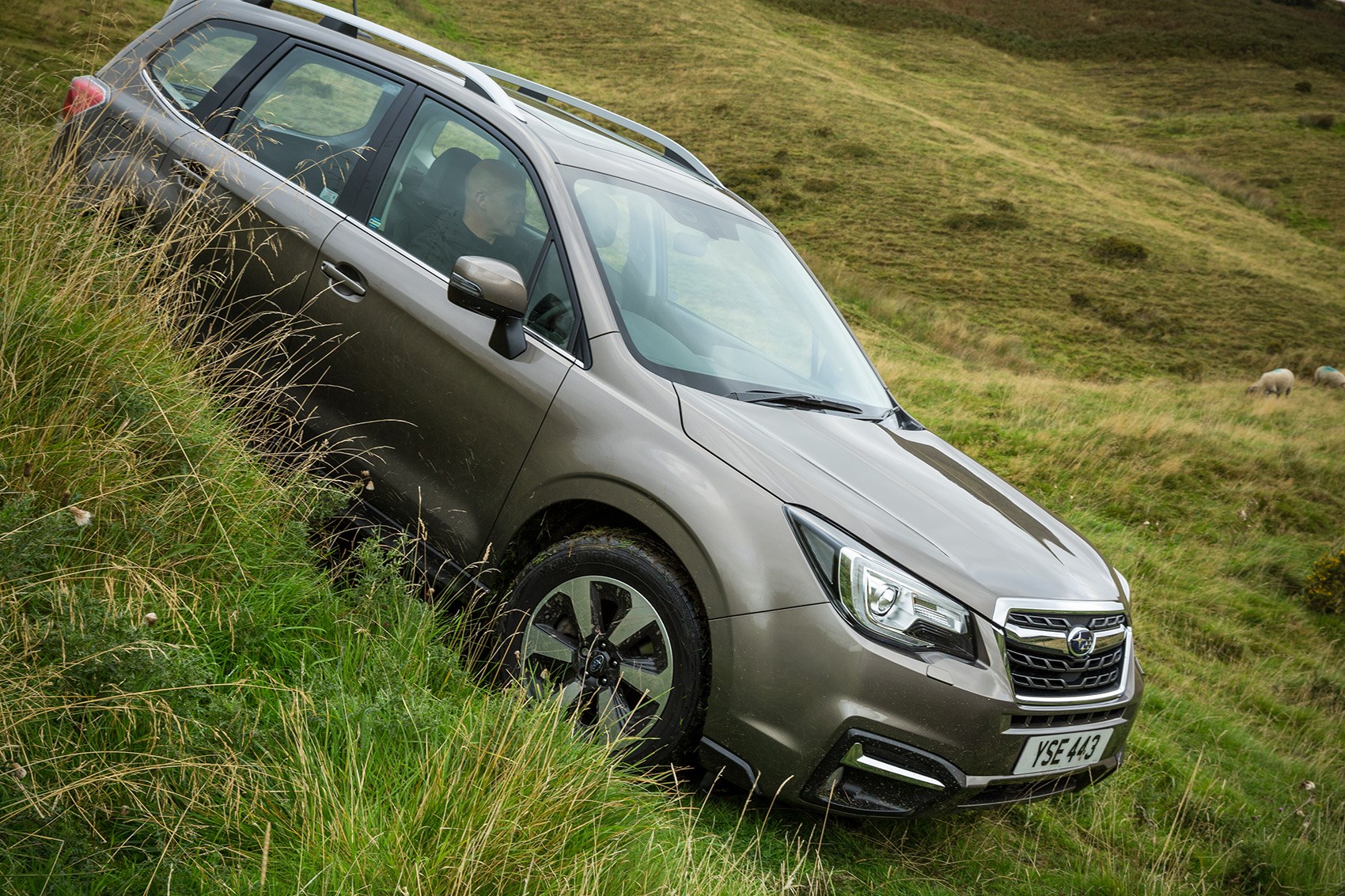 Subaru Forester off-road: not all crossovers will do this Subaru Forester off-road: not all crossovers will do this