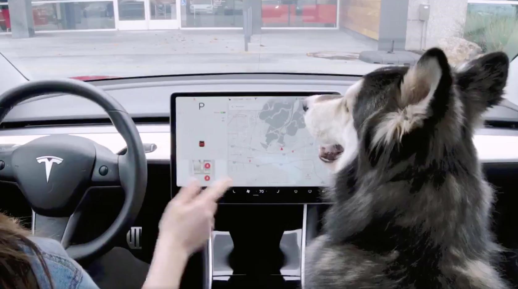 Tesla Dog Mode | CAR Magazine