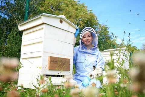 One of two Bentley-branded hives at Pyms Lane, cared for by local beekeepers