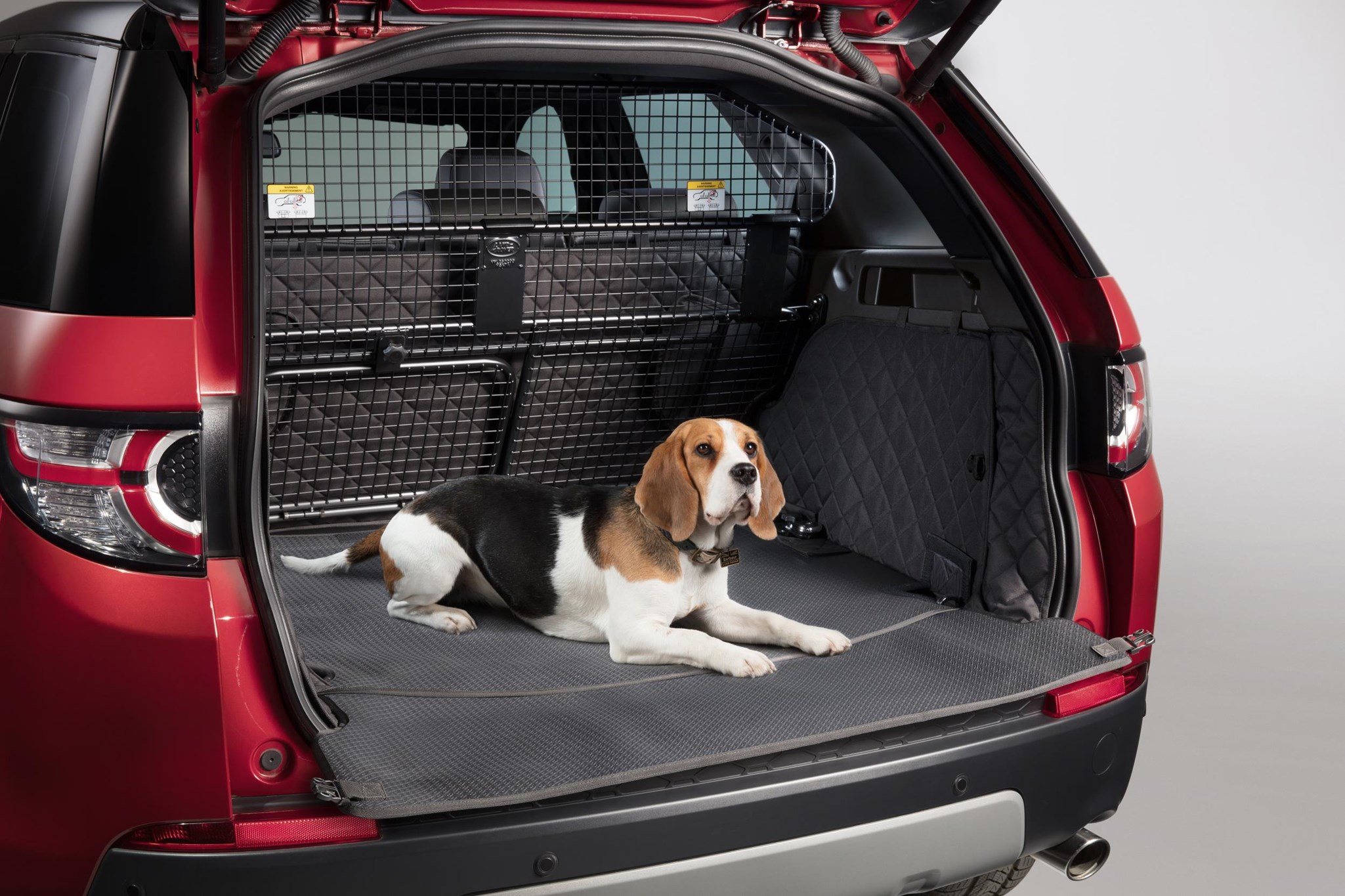 Best Cars For Dog Owners 2021 Uk Our, Best Dog Car Seats Uk 2020