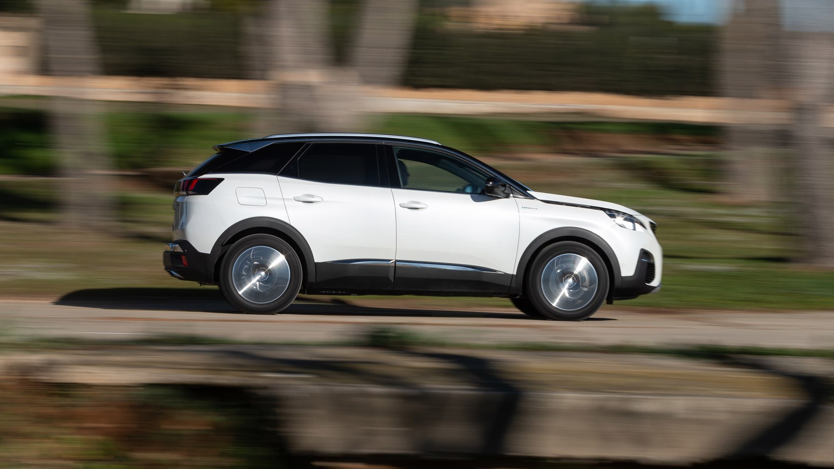 3008 hybrid side pan