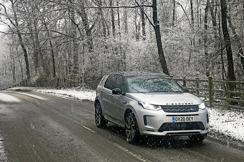 disco sport snow