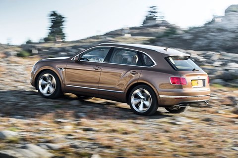 Roaming wild: the Bentley Bentayga