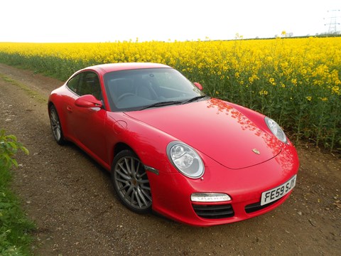 Guards Red 911 in rape yellow field