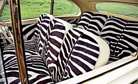 The zebra-skin back seat