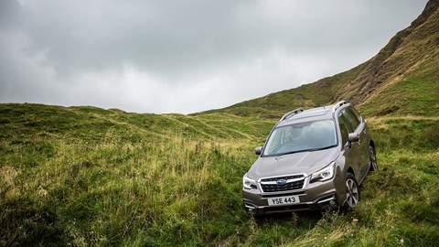 Down hill, up glade... the Subaru Forester is a surefooted crossover