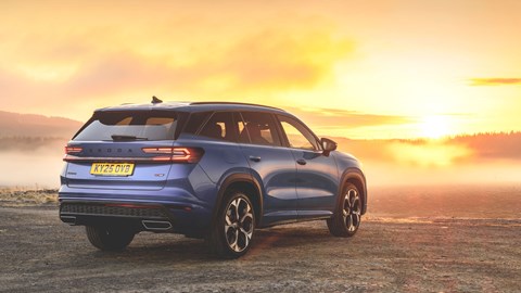 Skoda Kodiaq vRS review - rear, blue