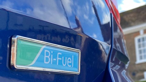 2021 Dacia Bi-Fuel badging for LPG cars