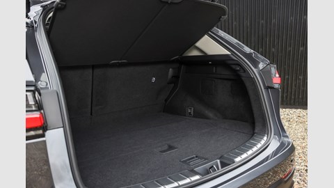 Lexus NX (2023) review: plug-in and self-charging hybrid tested