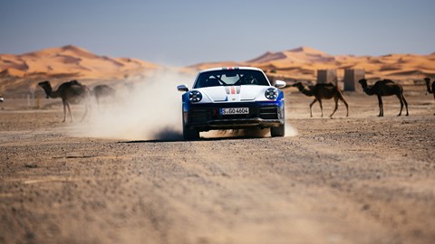 911 Dakar, and camels