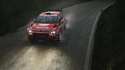 Citroen rally car in WRC 2023