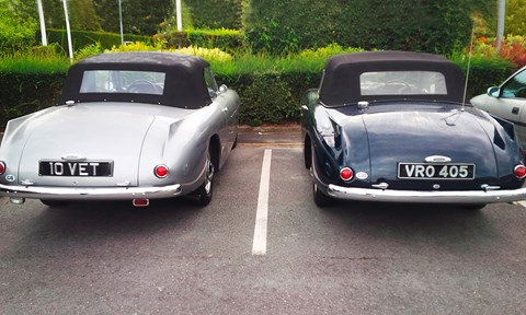 Nice pair of Bristols