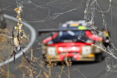 The Mount Panorama circuit climbs 570ft from the start straight to its highest point