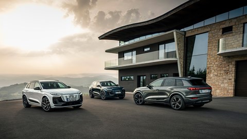 Pick from regular Q6 and SQ6 at launch; further models will follow