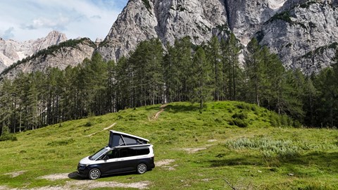 California T7 - in the wild