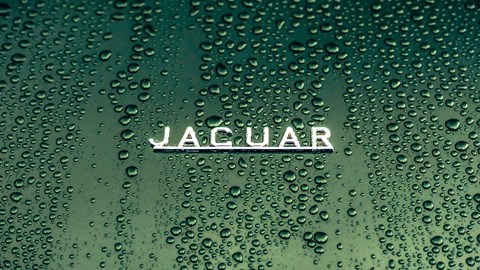 Jaguar old text