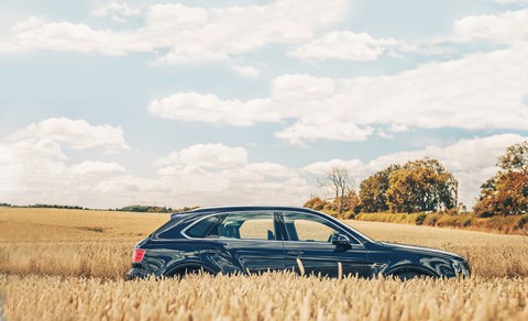 Bentley Bentayga hiding in a cornfield. Prices from £162,700