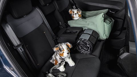 Dacia Striker (2026): pet and child accessories