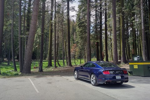 road trip usa ford mustang