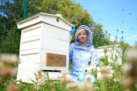 One of two Bentley-branded hives at Pyms Lane, cared for by local beekeepers 