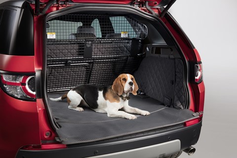 Best cars for dogs, cats and other pets 2020