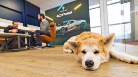 Dogs are encouraged at Rimac HQ